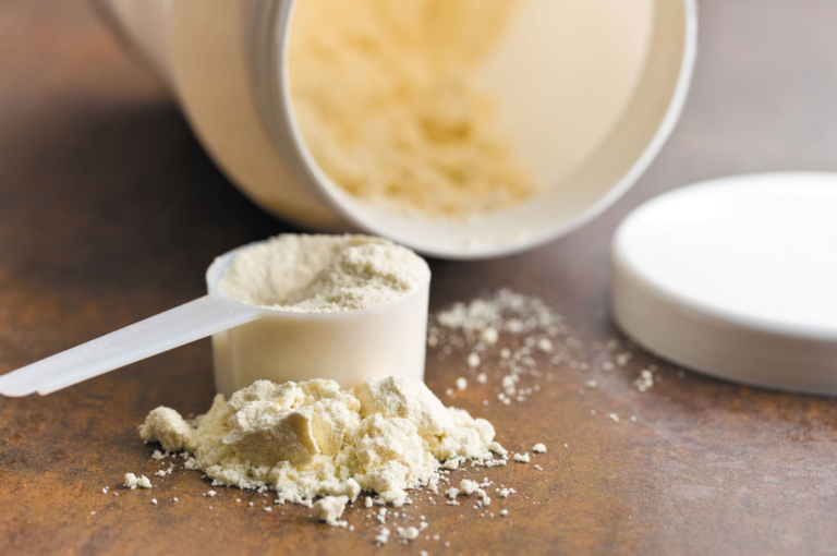 the best protein powders